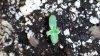 20130728_150822.jpg