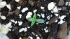 20130728_150816.jpg