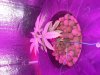 20130722_195215.jpg