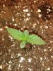 20130729_151927.jpg