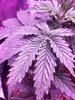 20210618_175604.jpg