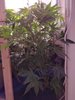 20210615_152206.jpg