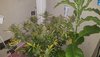 20210702_043850.jpg
