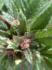290720131533.jpg