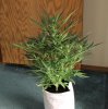 AUTO CHEESE_7-31-13 1.jpg