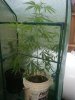 20130801_082933.jpg