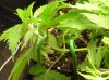 LST 001.jpg