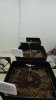 DSC01495.jpg