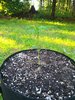 20210709_183130.jpg