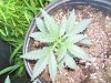 100_2811.jpg