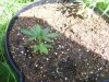 100_2813.jpg