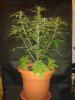 20130804_214448.jpg 20130804_214448.jpg