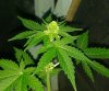 20130804_204840-1-1.jpg