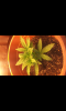 SC20130719-182102.png