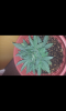 SC20130721-162246.png