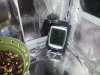 IMG_20130805_124230.jpg