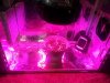 IMG_20130805_124349.jpg