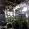 20210806_lights.jpg 20210806_lights.jpg