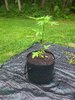 20210808_182608.jpg