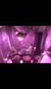 4AC95701-82F0-48E1-9BDA-9B8C939B1114.png