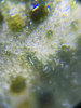7BEBB009-D482-4B62-9386-4A5B0730E784.jpeg