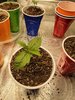 20210813_164402.jpg