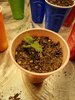 20210813_164442.jpg