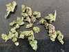 HarvestedBud.jpg