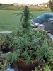 20210819_064850.jpg