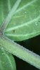 2021_08_19_17_11_01_351.jpg