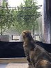 156589E1-F790-450B-85E9-2F8A634318F0.jpeg
