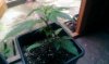 2013-08-05 20.19.50.jpg