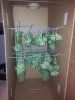 20130807_030435.jpg
