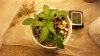 20130807_065705.jpg