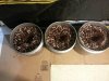 20130806_174155.jpg