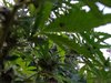 20210826_194109.jpg