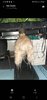 Screenshot_20210830-151258_Messages.jpg