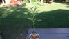 Outdoor2021 cupper.JPG