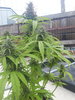 20210831_165148.jpg