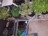 20210904_setup.jpg