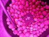 20130808_171033.jpg