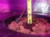 20130809_124512.jpg