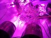 20130808_170932.jpg