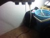 IMG02150-20130810-1131.jpg