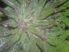 20130812_211203.jpg