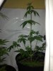 IMG_0373.jpg IMG_0373.jpg