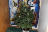 AUTO MOBY DICK_8-12-13 1.jpg