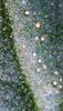 2021_09_26_12_52_28_711.jpg