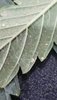 20210927_092239.jpg