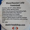 4x Blond Russian ladies in a 70x70 cm tent